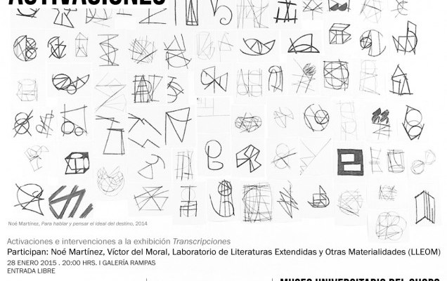 lleom en la exposición «Transcripciones»